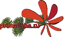 САЙТ "ПРИМАФИША"